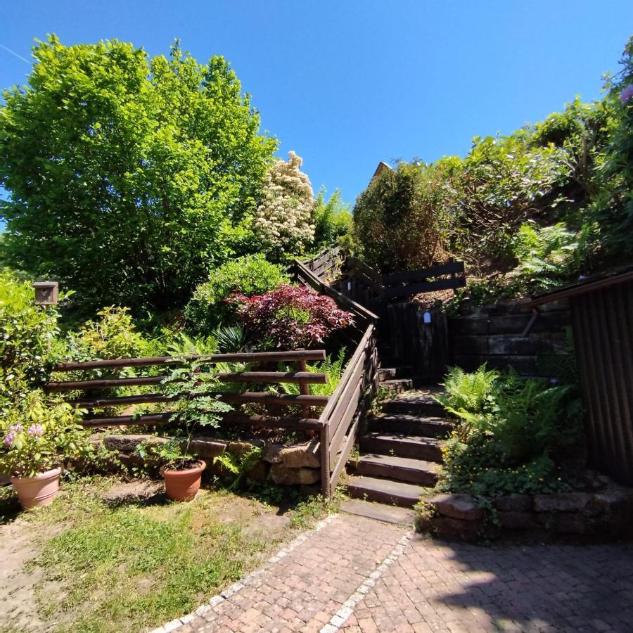 Chalet Spessart Dammbach Exterior foto